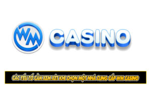 Các yếu tố cần xem xét khi chọn một nhà cung cấp WM Casino