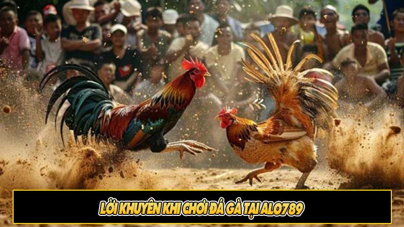 Lời khuyên khi chơi đá gà tại Alo789